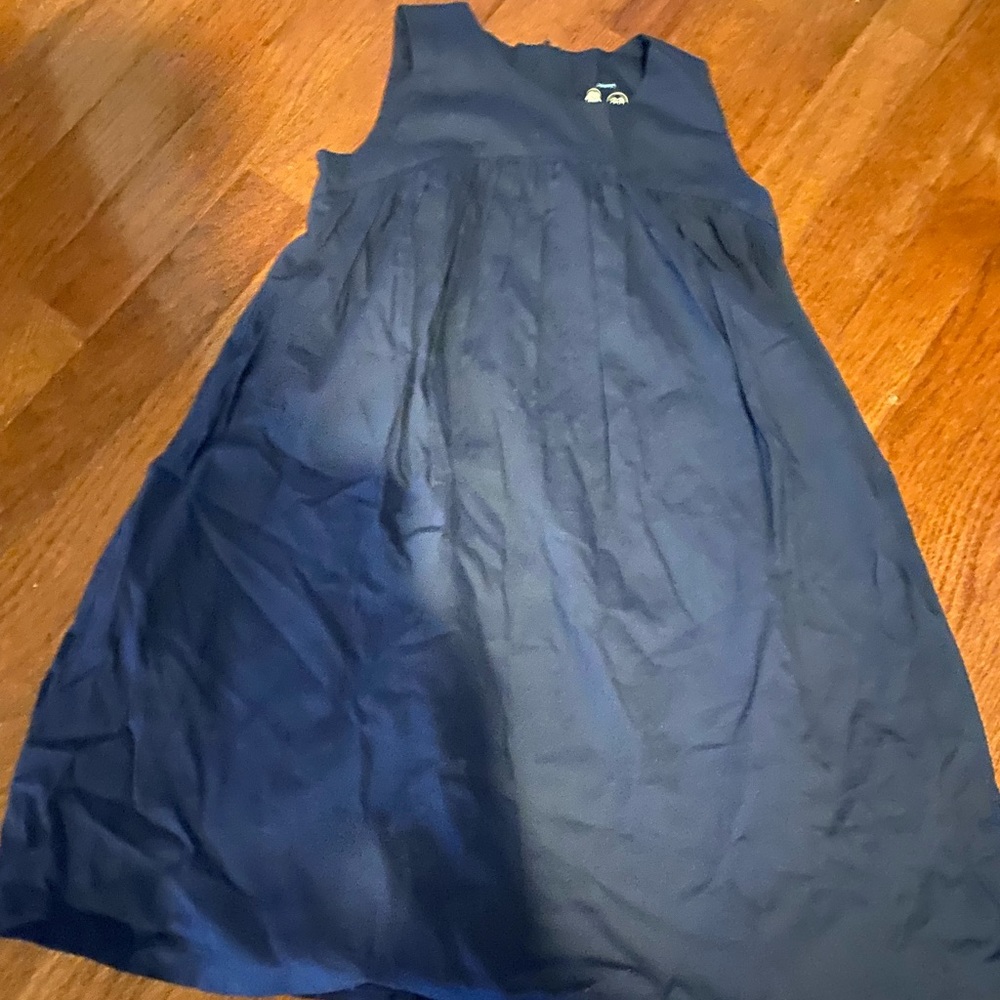 Primary Blue Dress